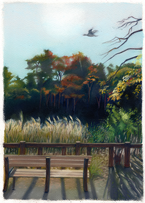 �t���[��