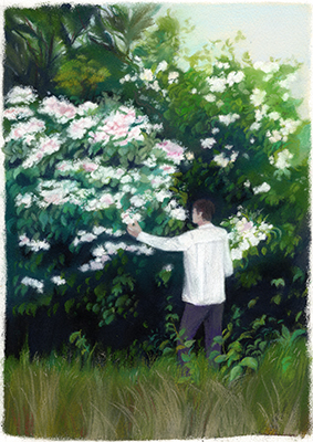 �t���[��