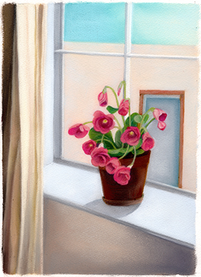 �t���[��